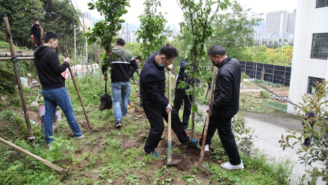 宁德市林业局携手共建社区开展植树志愿服务活动