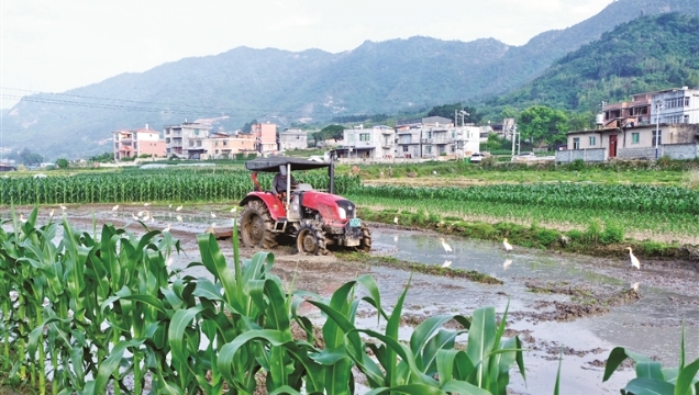 霞浦：鄉村有了“田管家” 節本增效富農家
