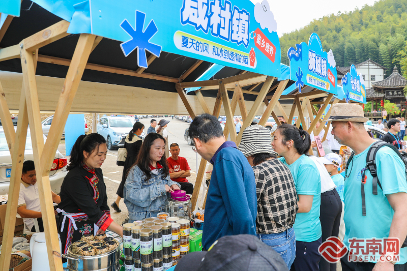 24℃康养空间惊艳亮相！“中国旅游日”周宁绘就生态康养新图景(图4)