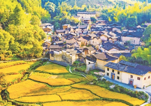 屏南厦地：一抹文创色 满村烟火新