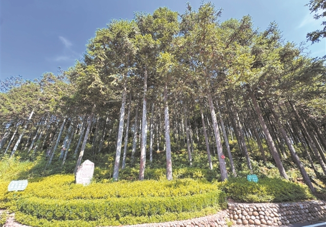 畅通金融“血脉” 激活“一池春水”