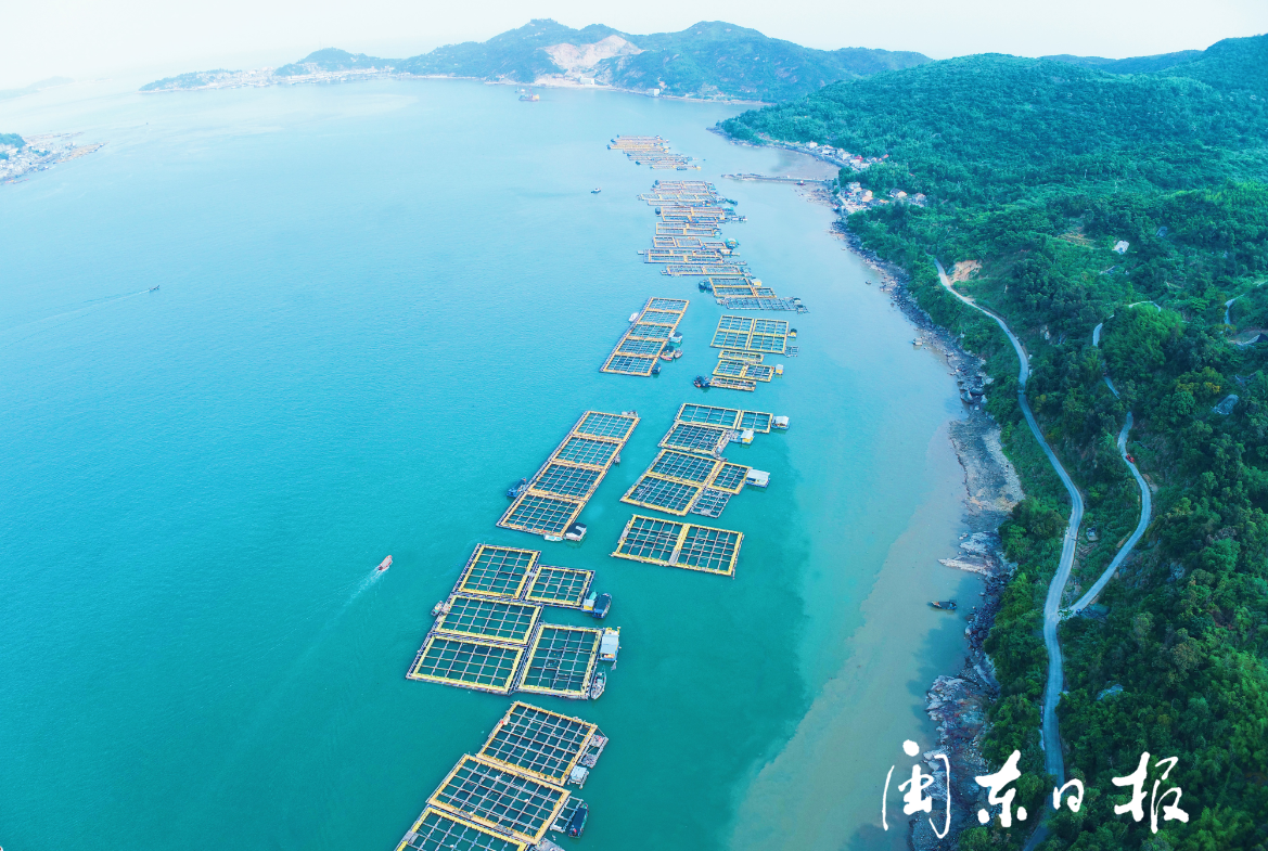 福鼎沙埕:海上养殖综合整治进入收尾阶段 -社会民生 - 东南网宁德频道