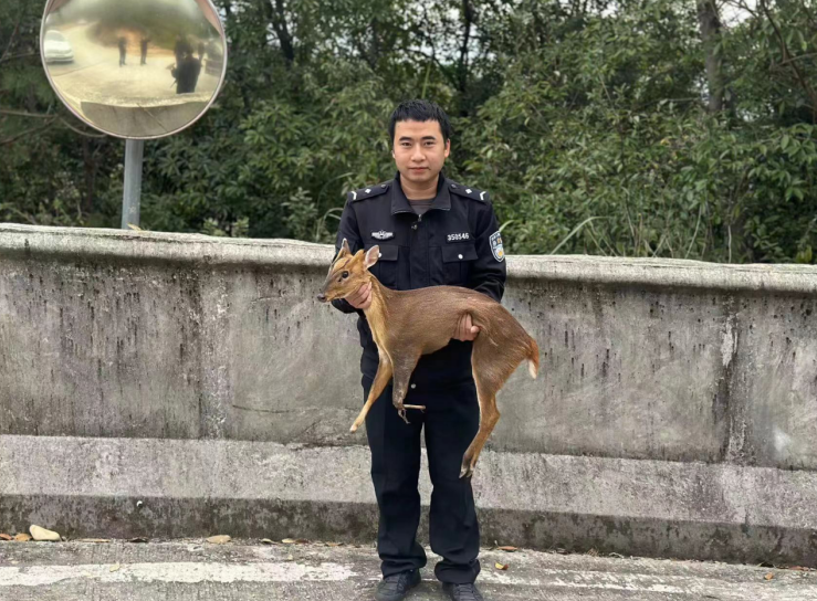 微信截图_20230302124733.png