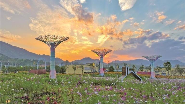 长寿柘荣的康养之道