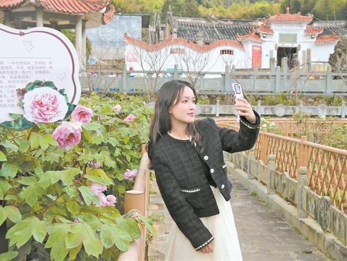 福鼎周山：牡丹迎客 文旅兴村